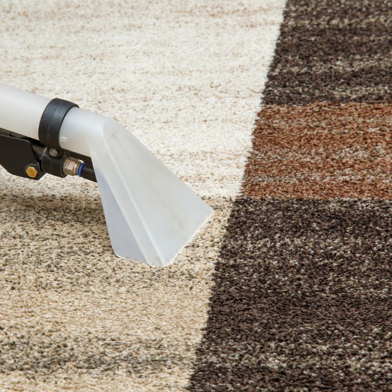Affordable Area Rug Cleaning Services